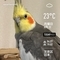 WeatherShot（2020-06-22）