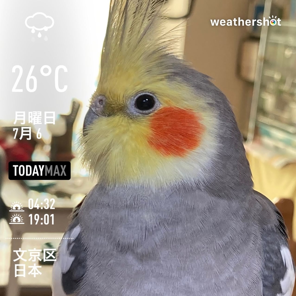 WeatherShot（2020-07-06）