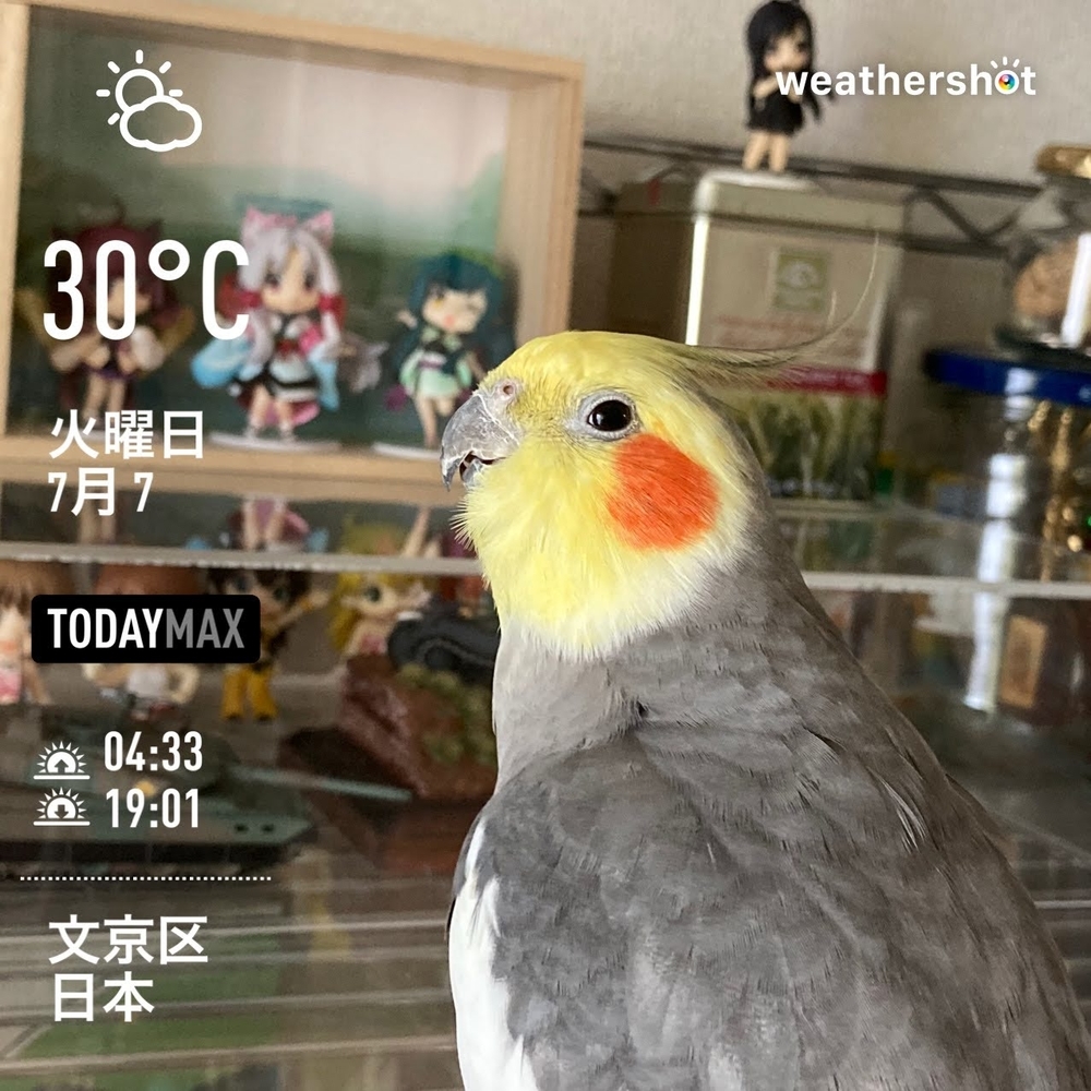 WeatherShot（2020-07-07）