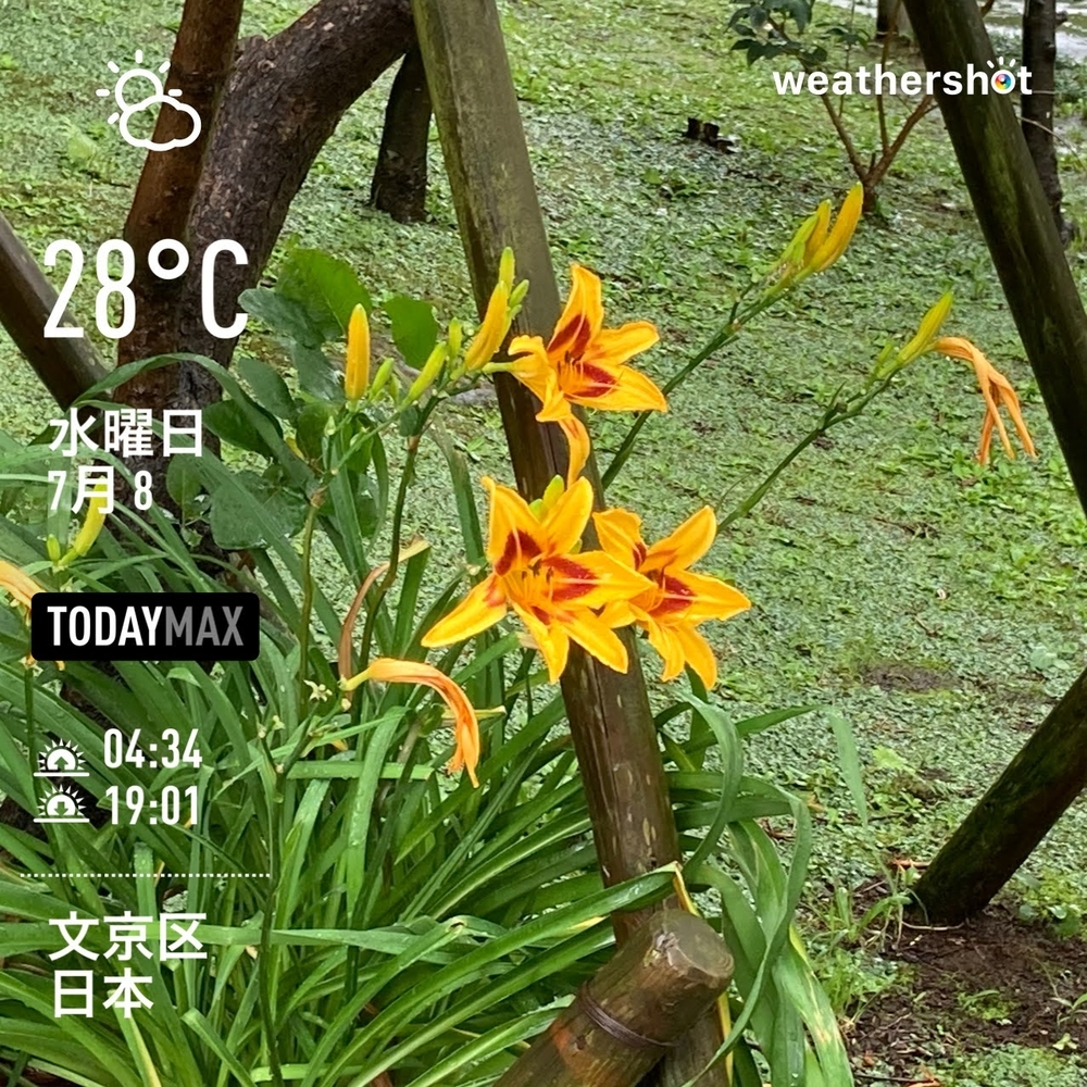 WeatherShot（2020-07-08）