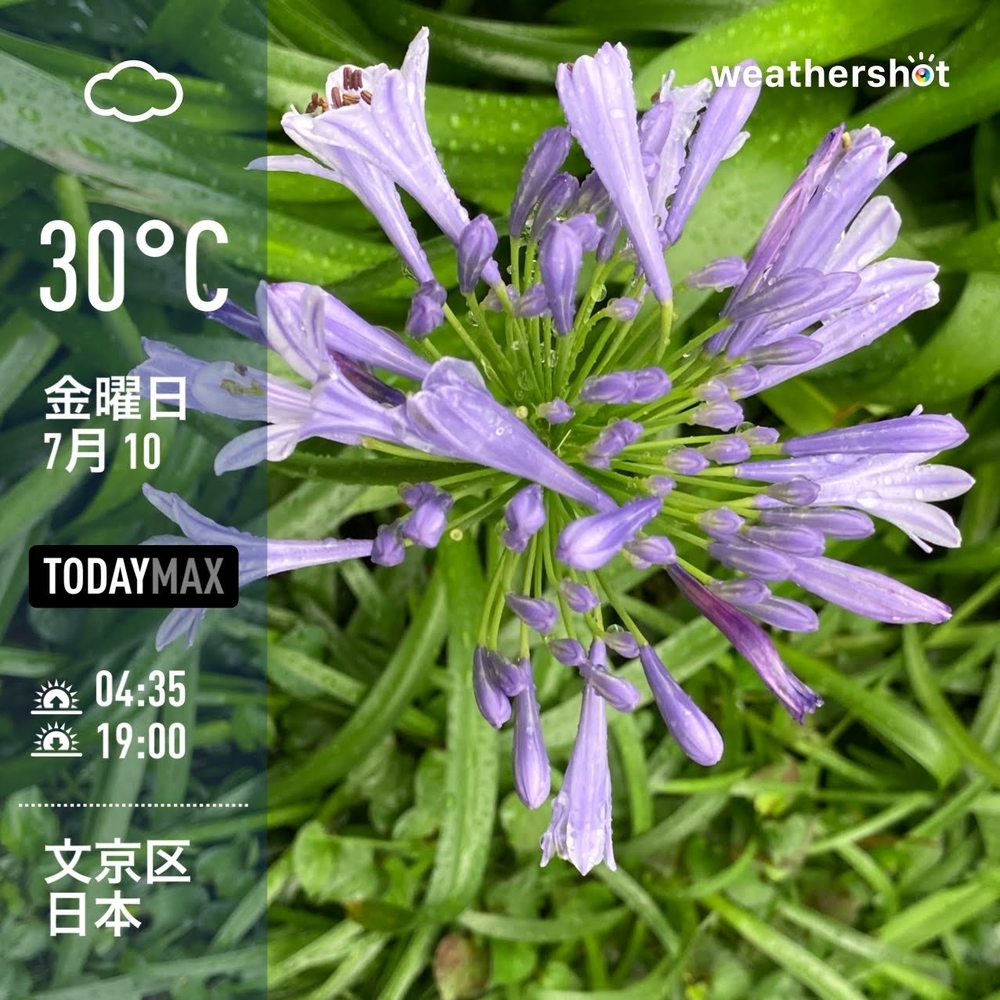 WeatherShot（2020-07-10）