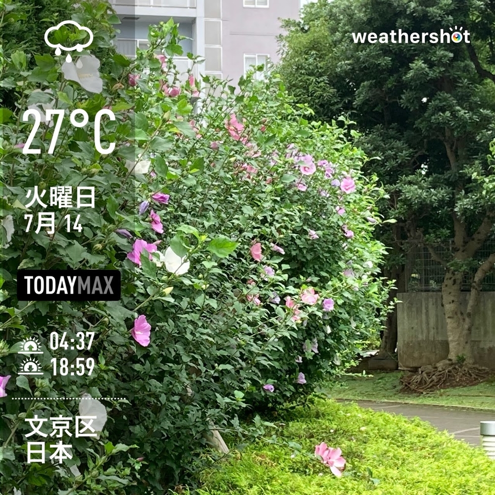 f:id:Snowowl:20200716085120j:plain WeatherShot(2020-07-14)