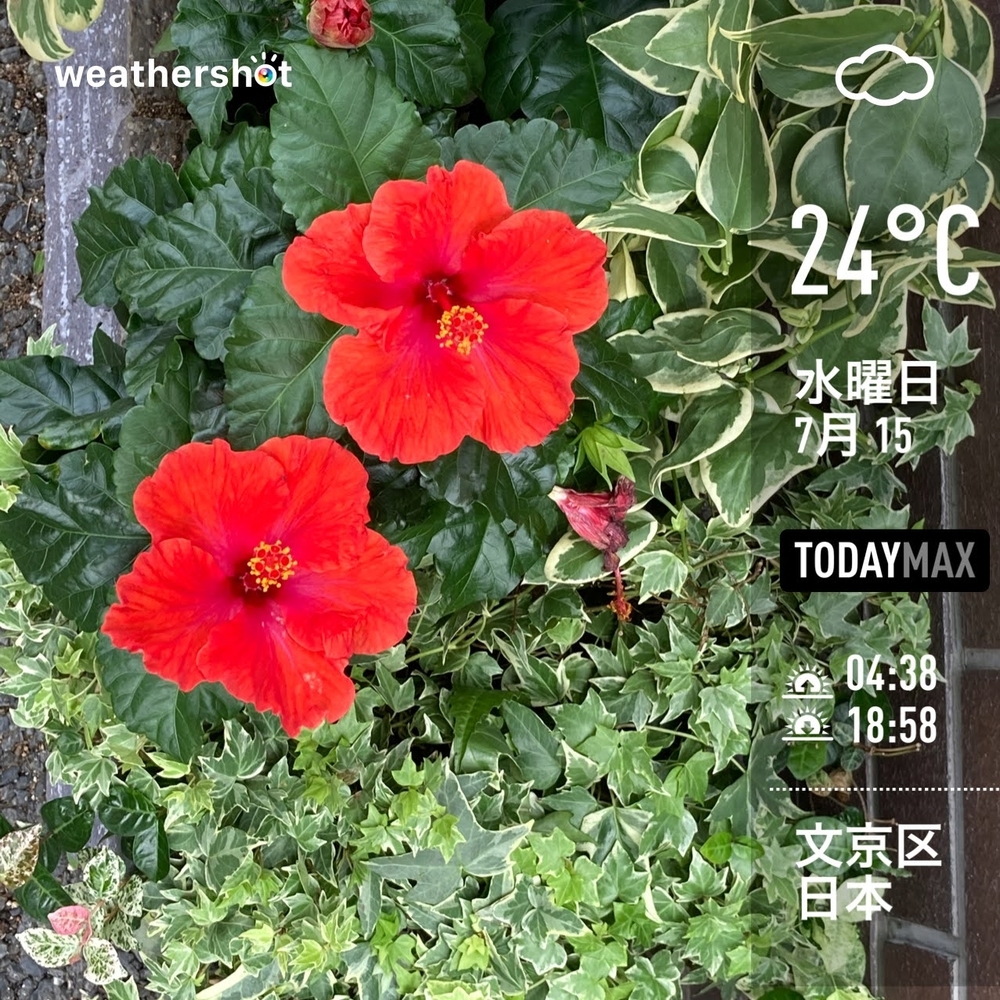 WeatherShot（2020-07-15）