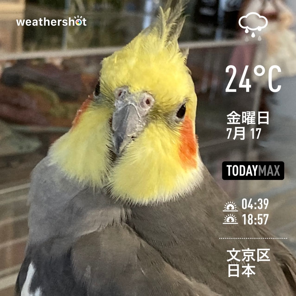 f:id:Snowowl:20200721084725j:plain WeatherShot(2020-07-17)