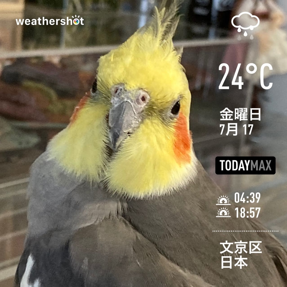 WeatherShot（2020-07-17）