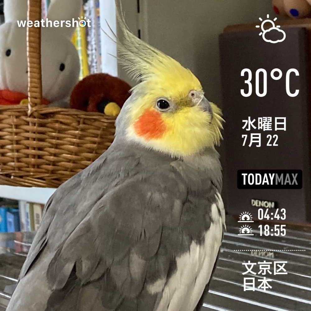 WeatherShot（2020-07-22）