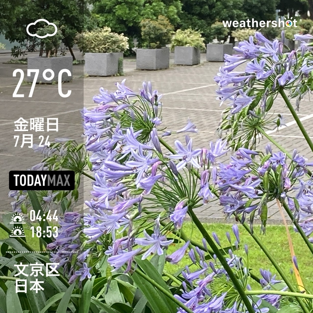 WeatherShot（2020-07-24）