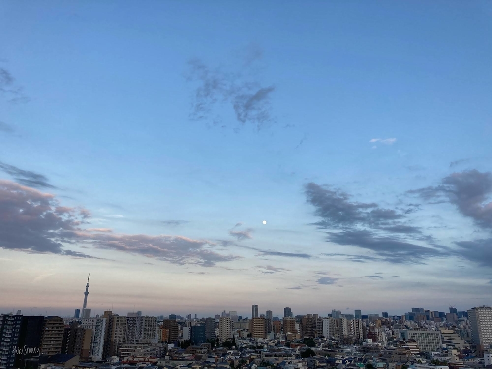f:id:Snowowl:20200801183550j:plain 梅雨明けの宵(2020-08-01 18:31)