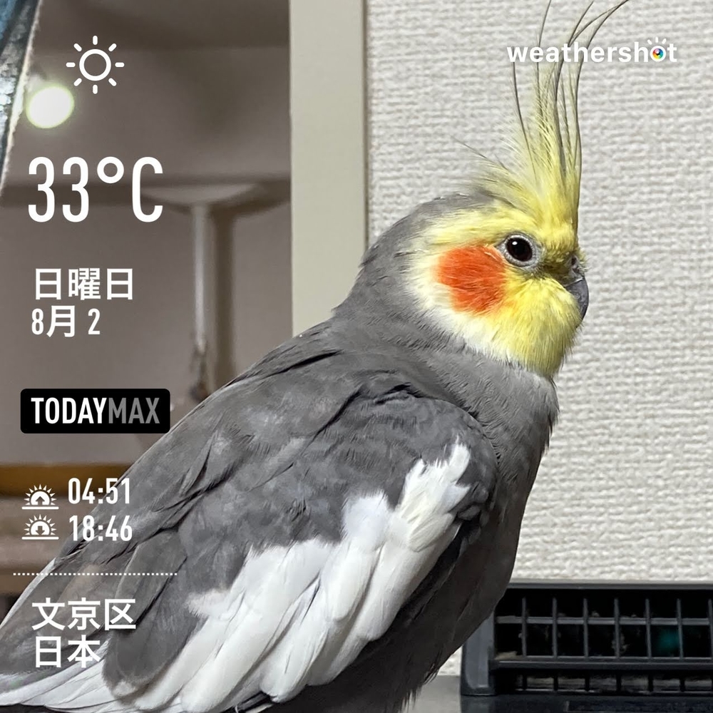 WeatherShot（2020-08-02）