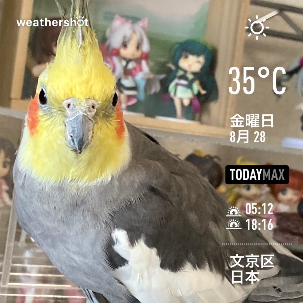 WeatherShot（2020-08-28）