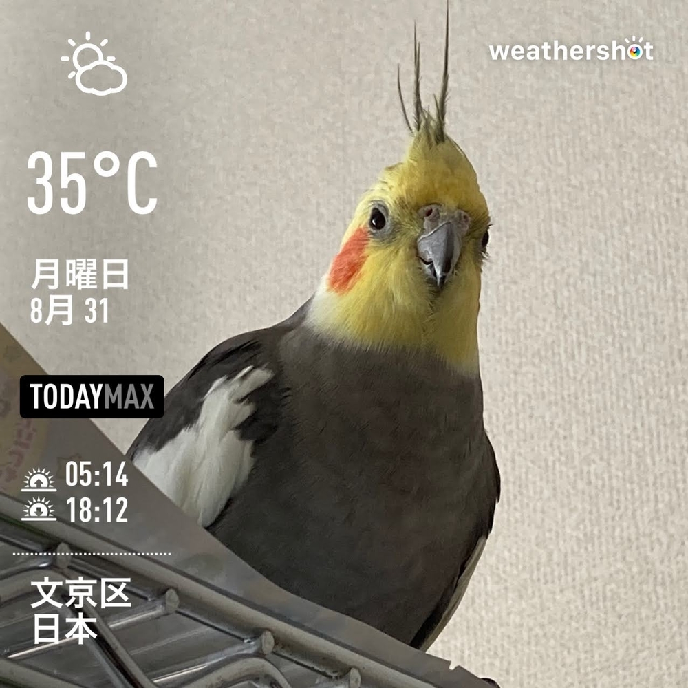 WeatherShot（2020-08-31）