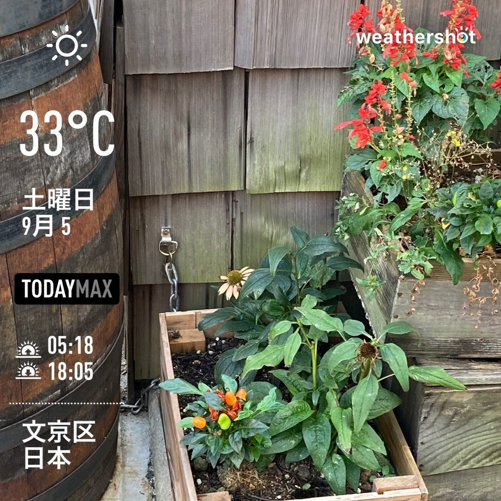 WeatherShot（2020-09-05）