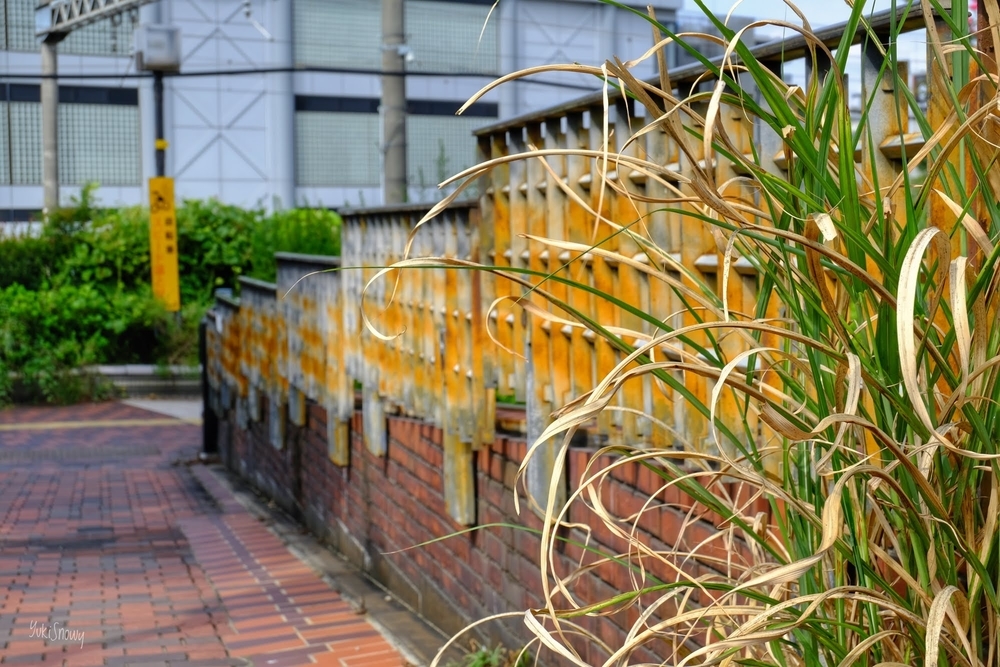 f:id:Snowowl:20200923215007j:plain めぐみの橋(2020-09-21)