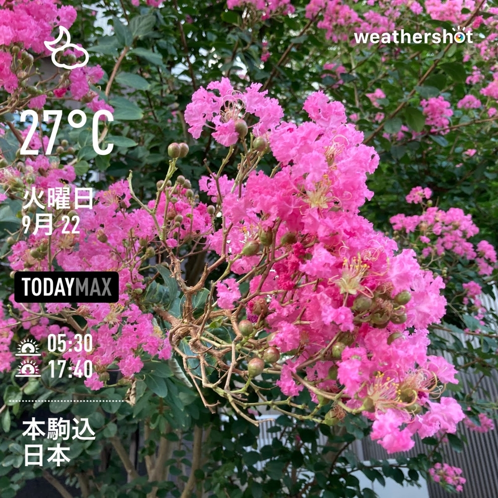 WeatherShot（2020-09-22）