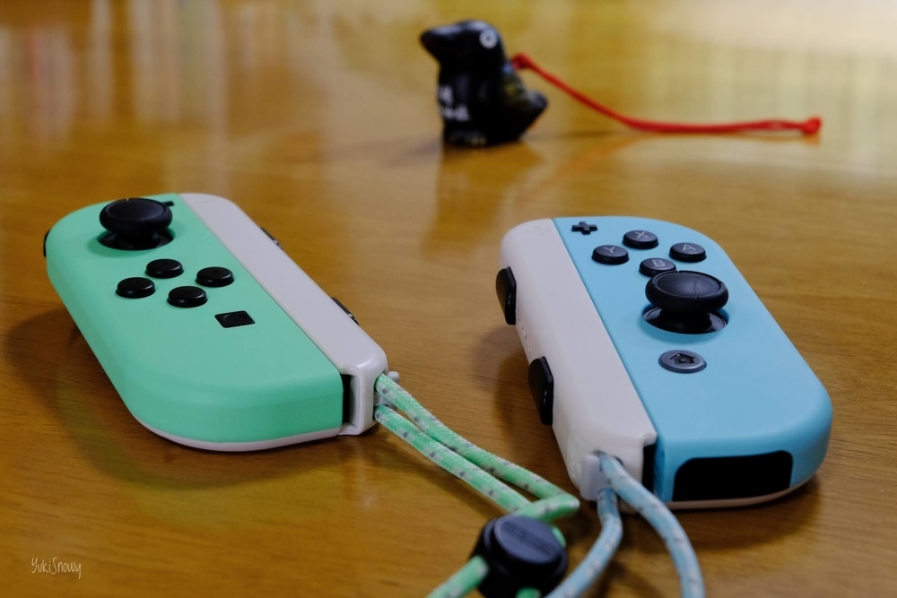 f:id:Snowowl:20201001132611j:plain Joy-Con(2020-10-01)