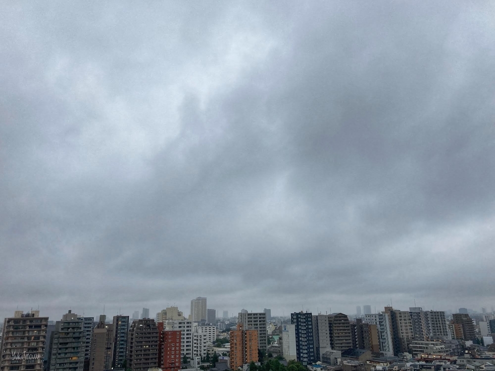 f:id:Snowowl:20201008081808j:plain (2020-10-08 10:08)