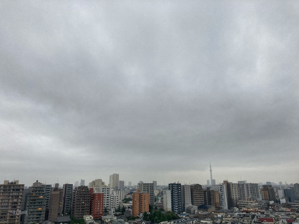 f:id:Snowowl:20201009080532j:plain (2020-10-09 06:09)