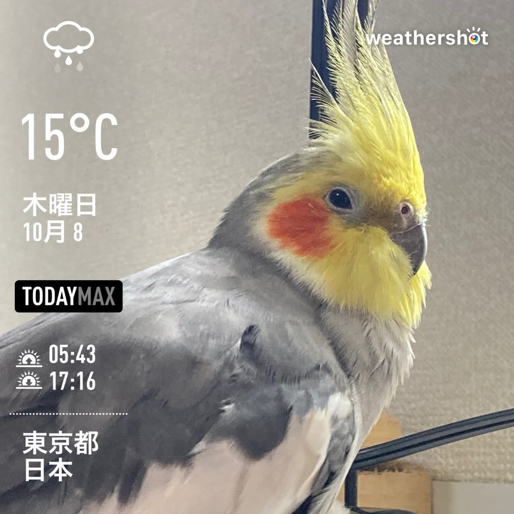 f:id:Snowowl:20201011090409j:plain WeatherShot(2020-10-08)