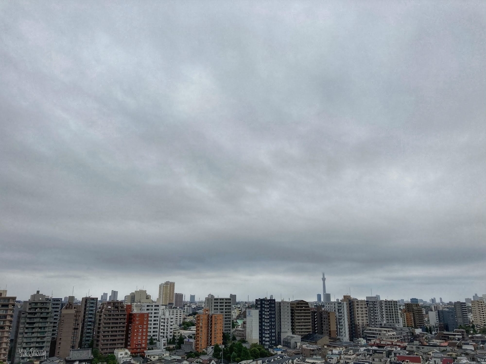 f:id:Snowowl:20201011091803j:plain (2020-10-11 07:07)