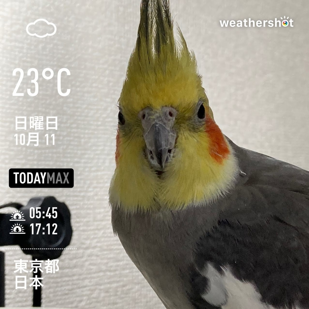 f:id:Snowowl:20201015151733j:plain WeatherShot(2020-10-11)