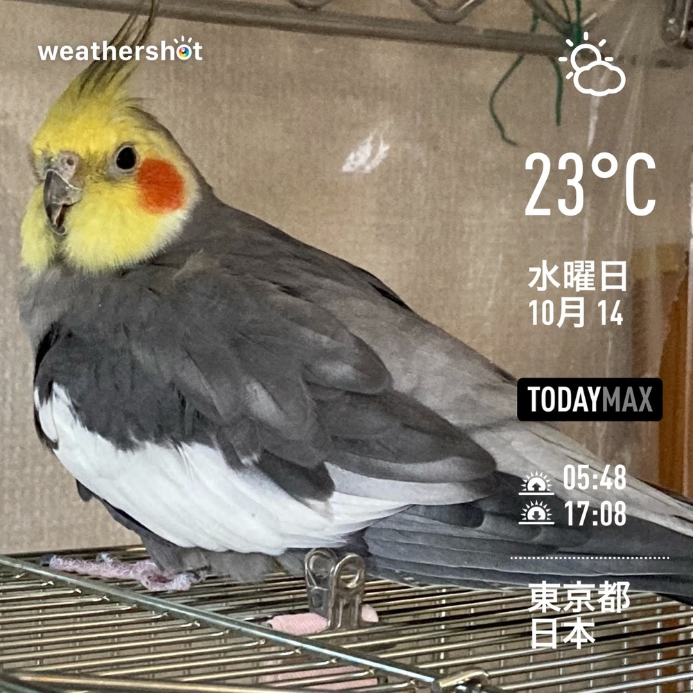 WeatherShot（2020-10-14）