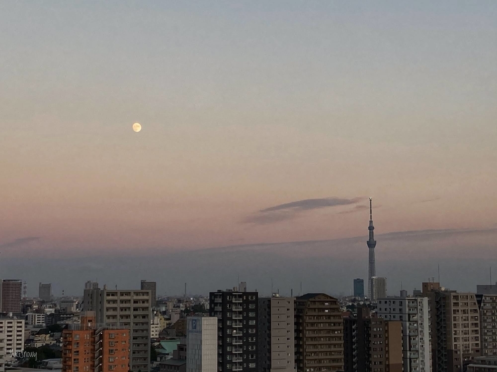 f:id:Snowowl:20201030085021j:plain 十三夜(2020-10-29 16:47)