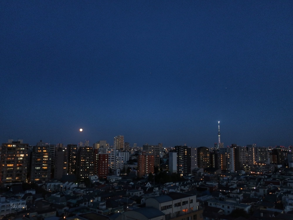 f:id:Snowowl:20201031211206j:plain ブルームーン(2020-10-31 17:09)