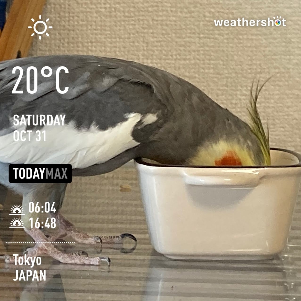 f:id:Snowowl:20201031211551j:plain WeatherShot(2020-10-31)