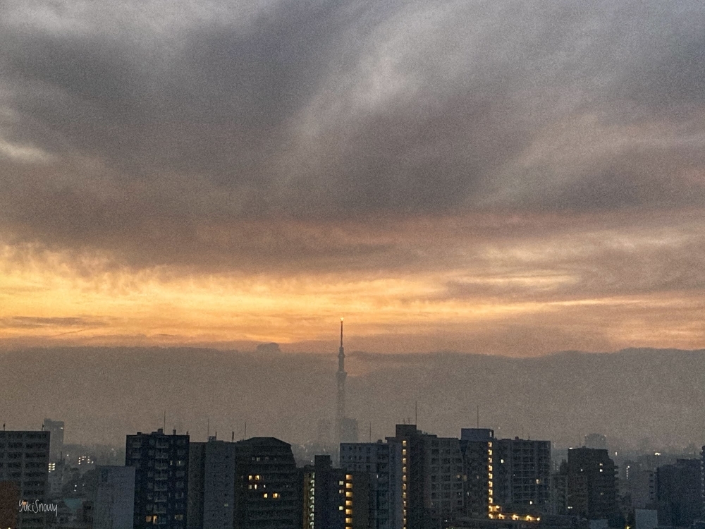 (2020-11-19 05:58)