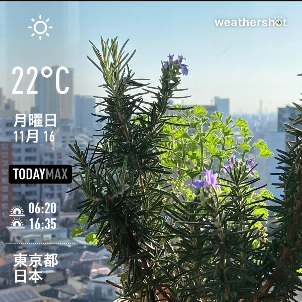 WeatherShot(2020-11-16)