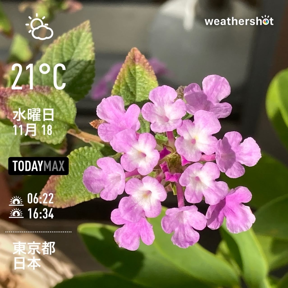 WeatherShot(2020-11-18)