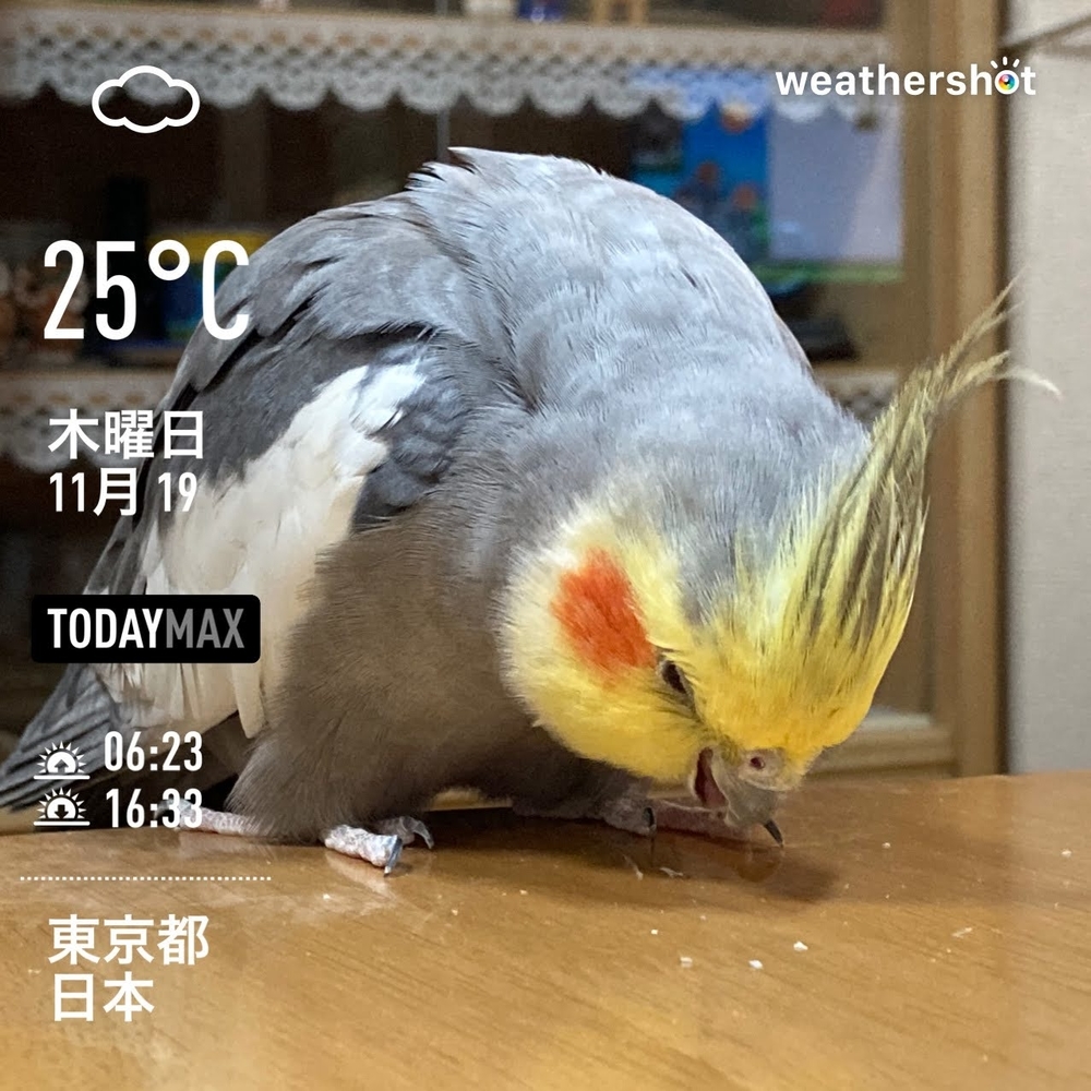 WeatherShot（2020-11-19）