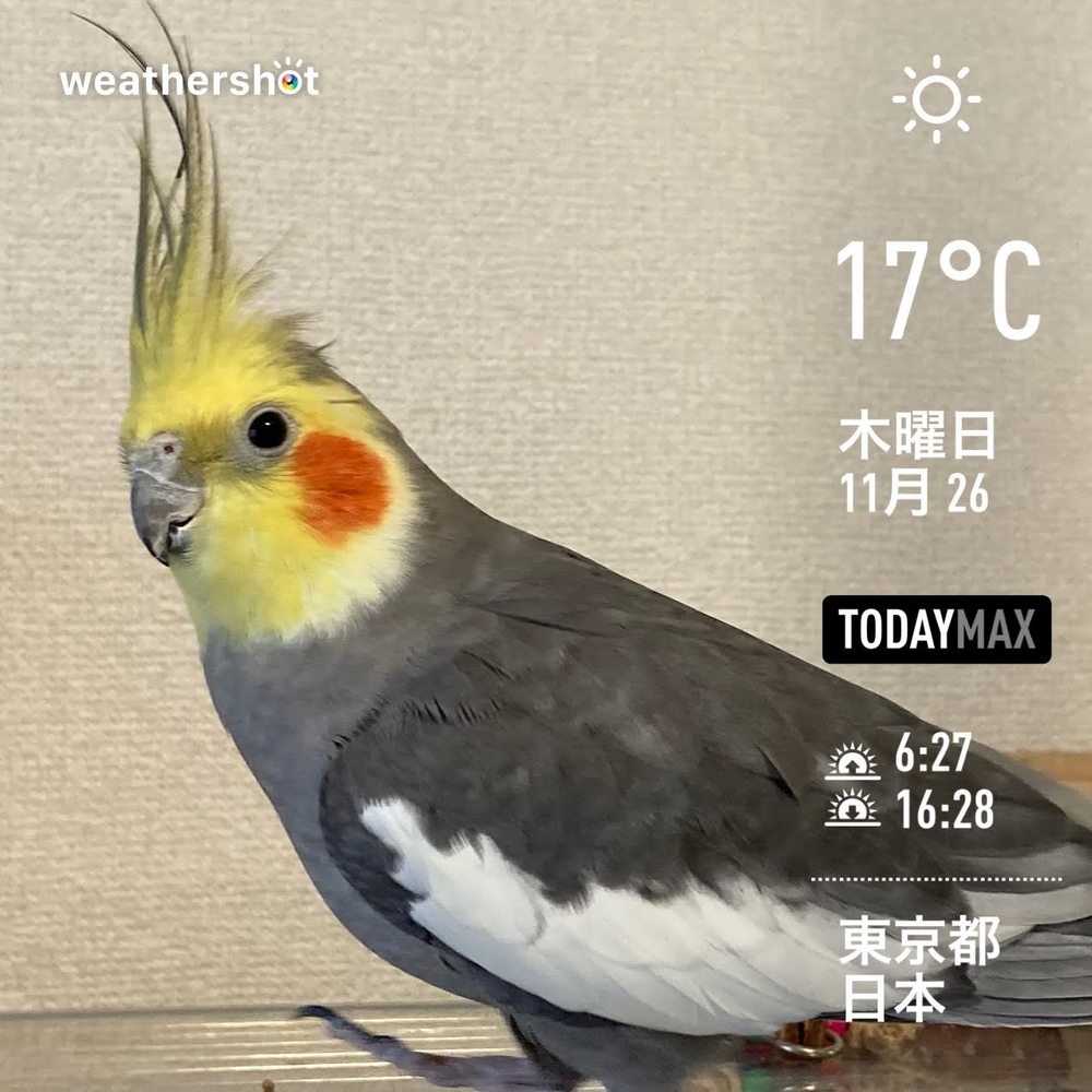 WeatherShot(2020-11-26)