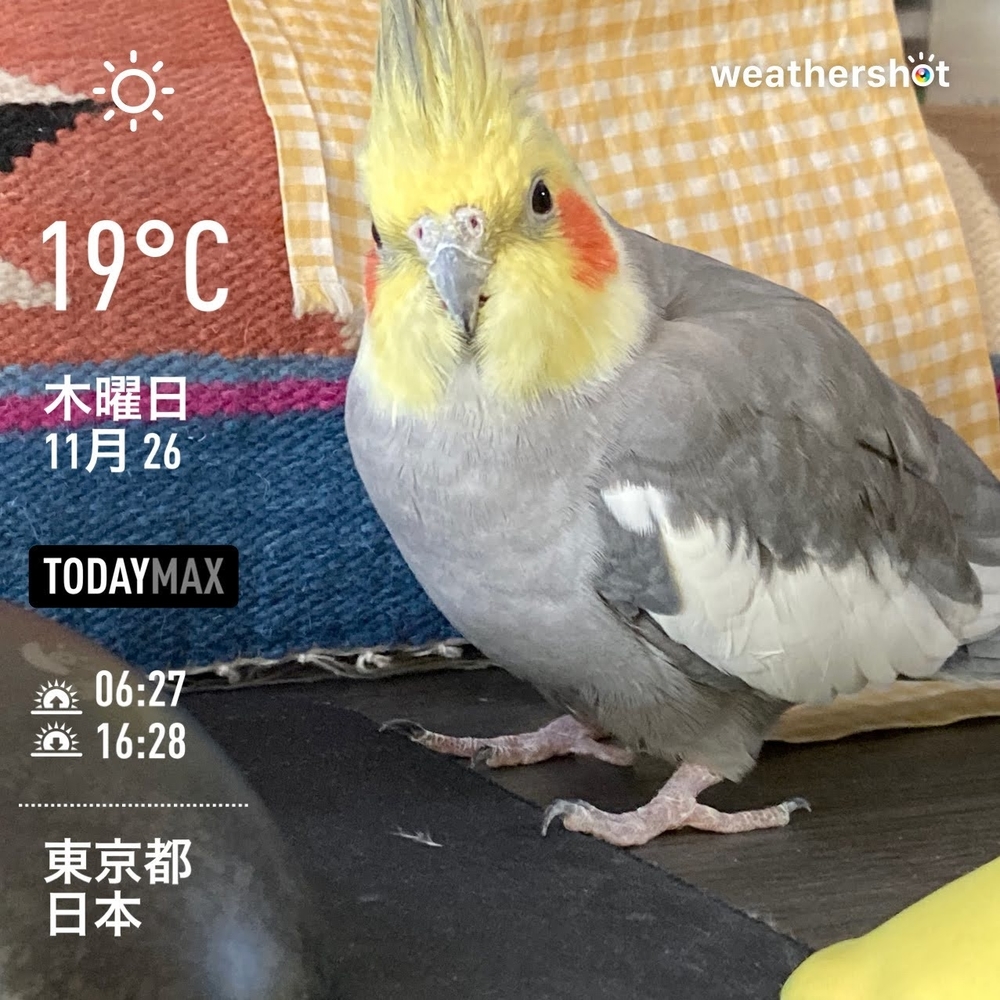 WeatherShot（2020-11-27）