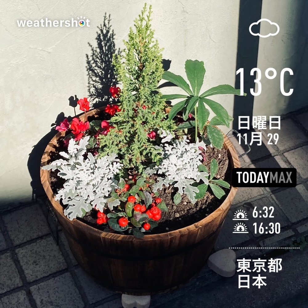 WeatherShot(2020-11-29)