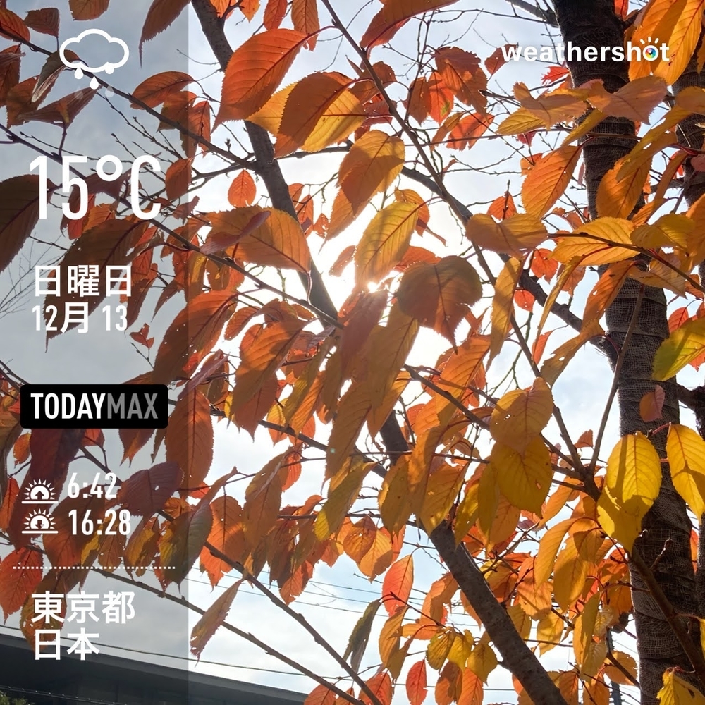 WeatherShot（2020-12-13）