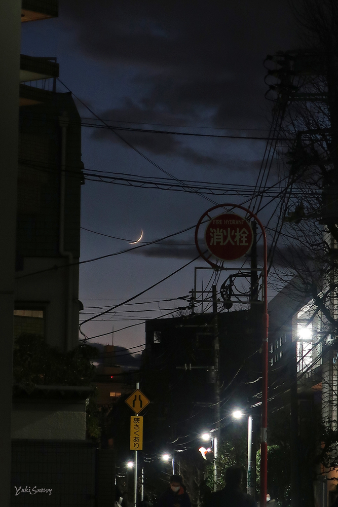 月(2020-12-16 17:10)