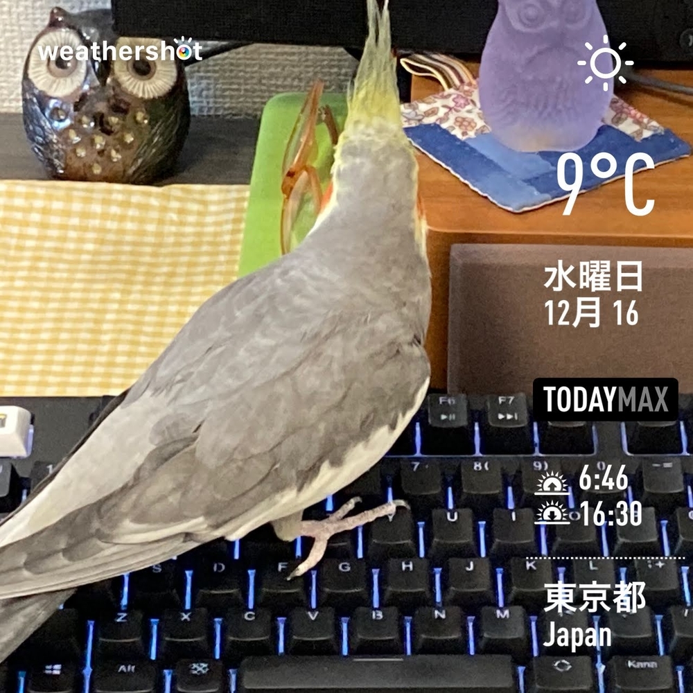 WeatherShot(2020-12-16)