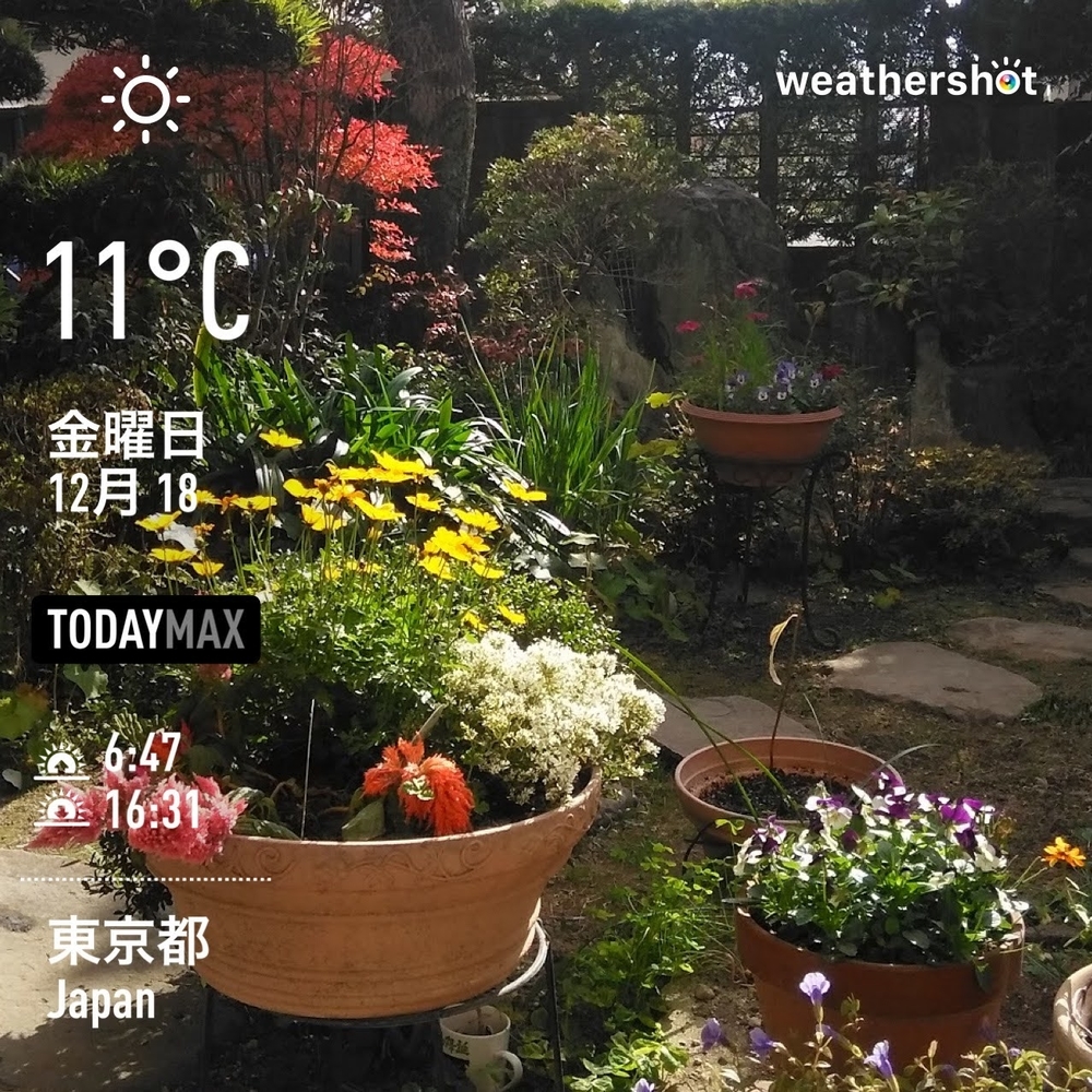 WeatherShot(2020-12-18)