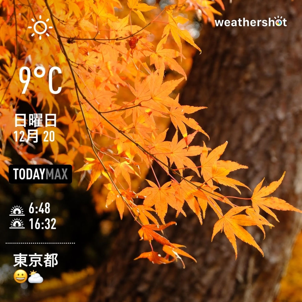 WeatherShot(2020-12-20)