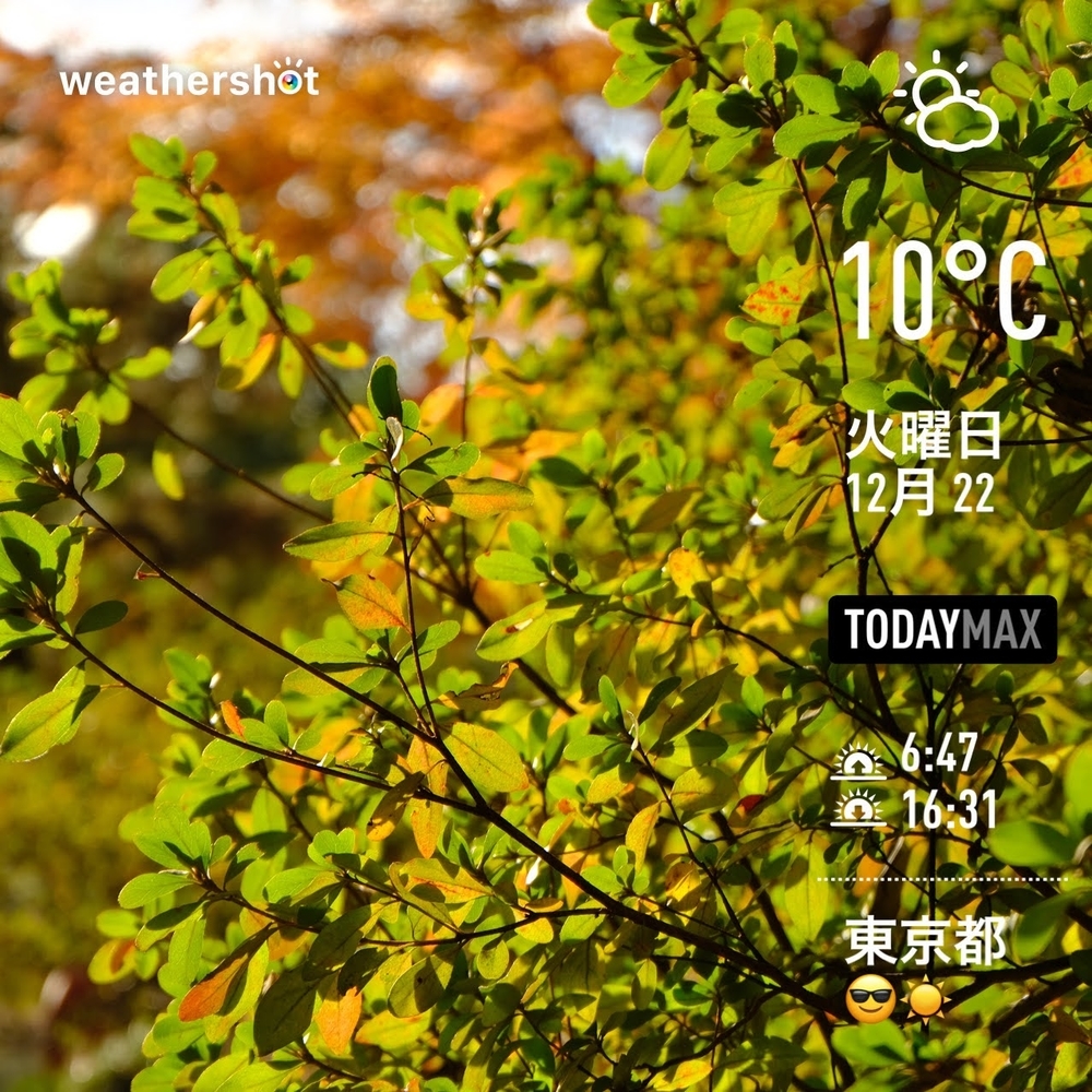 WeatherShot(2020-12-22)