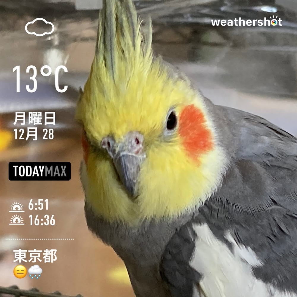 WeatherShot（2020-12-28）