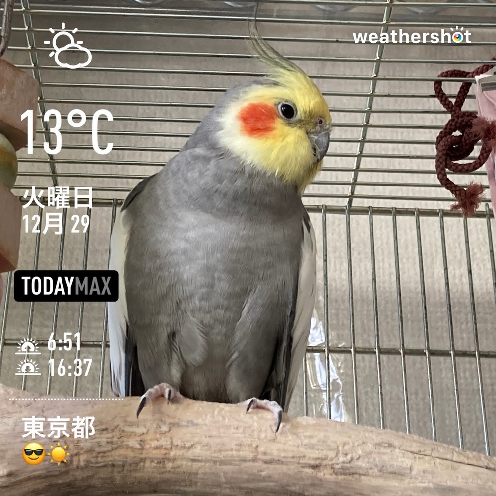 WeatherShot(2020-12-29)