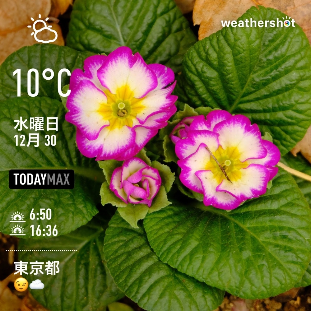 WeatherShot(2020-12-30)