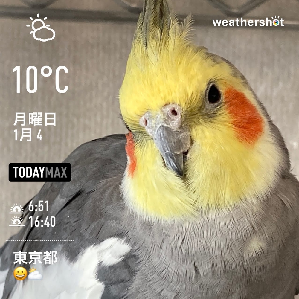 WeatherShot（2021-01-04）