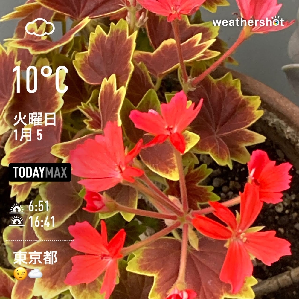 WeatherShot(2021-01-05)