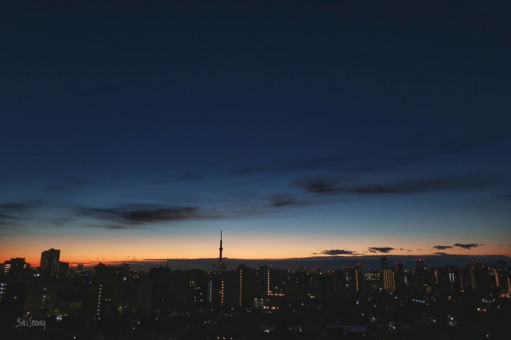 明けの明星(2021-01-08 06:14)