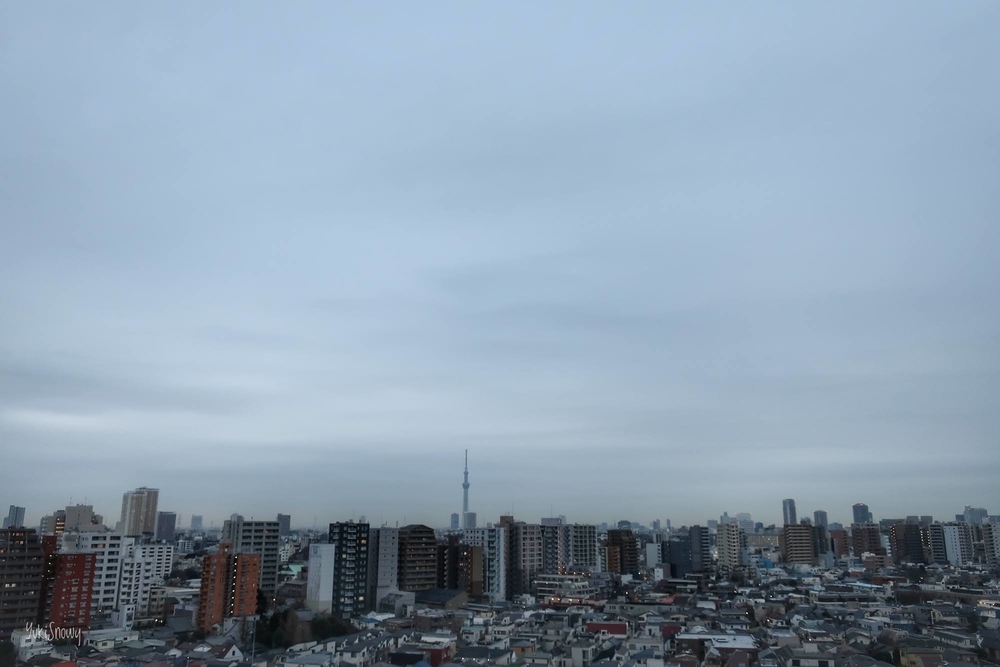 (2021-01-15 06:54)