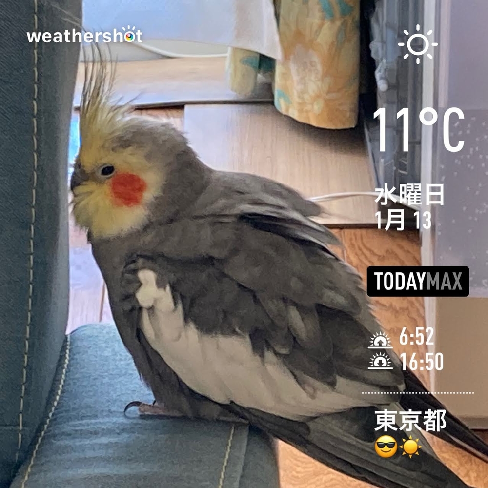 WeatherShot(2021-01-13)