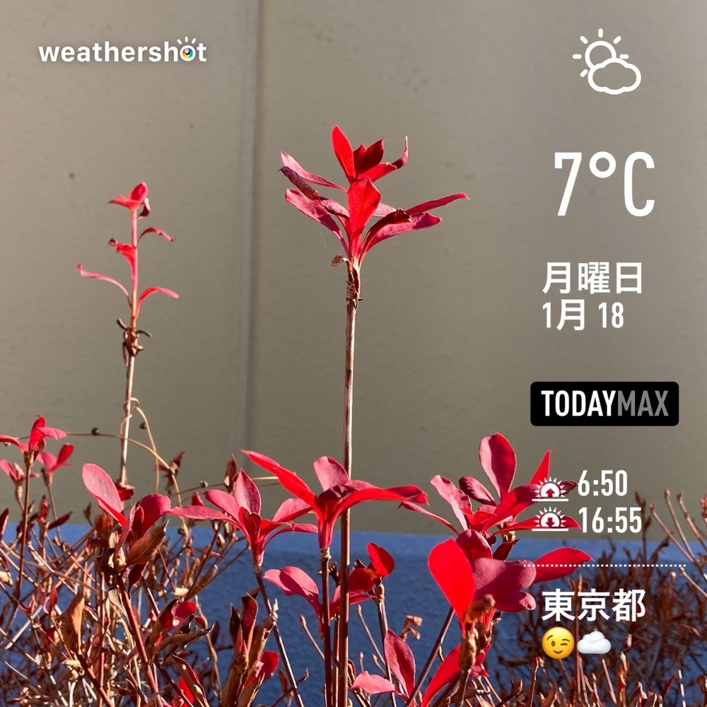 WeatherShot(2021-01-18)